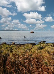 Image showing danish landscape