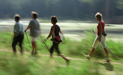 Image showing walking training 