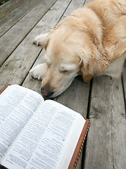 Image showing dog reading