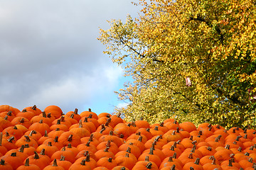 Image showing Scenes of halloween with pumpkins