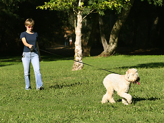 Image showing Woman walking with her dog in the park