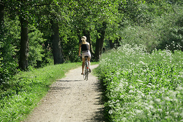 Image showing bike