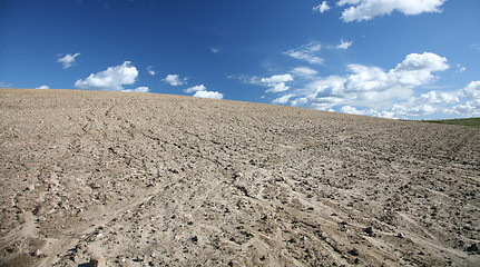 Image showing dry