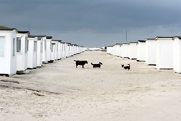 Image showing beach house