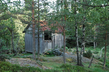 Image showing Old shed