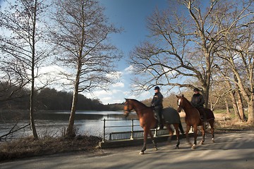 Image showing riding horses