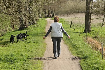 Image showing walking the dog