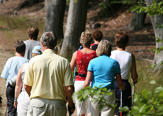 Image showing walking training 