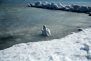 Image showing winter in denmark