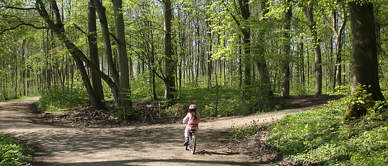 Image showing Green forest bikers