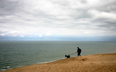 Image showing summer in denmark: man with dog