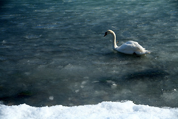 Image showing winter in denmark