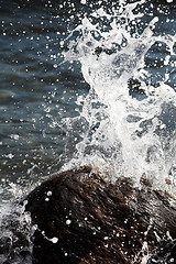 Image showing Water splashing on rocks 