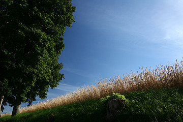 Image showing rural denmark