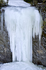 Image showing Icicles