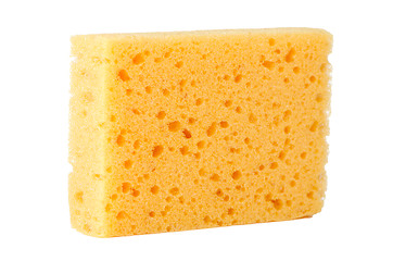 Image showing Yellow sponge