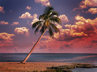 Image showing Ocean At Sunset