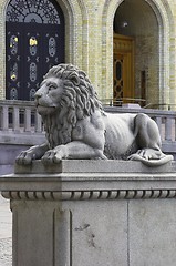 Image showing Lion