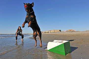 Image showing flyball on the beach