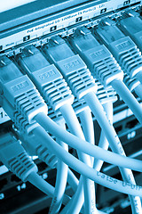 Image showing network cables