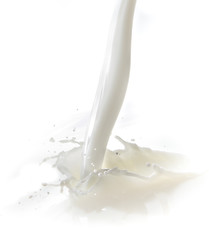 Image showing milk splash