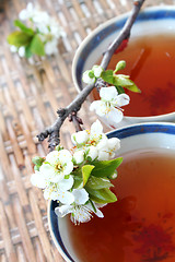 Image showing Tea and Blossom