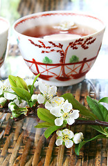 Image showing Tea and Blossom