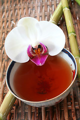 Image showing Tea and Orchid