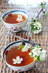 Image showing Tea and Blossom