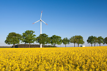 Image showing windmill  farm in the rape field