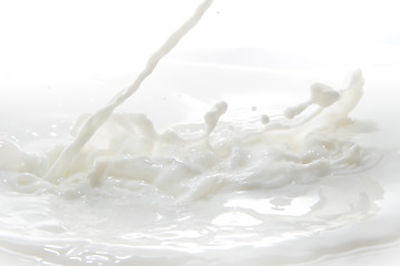 Image showing milk splash