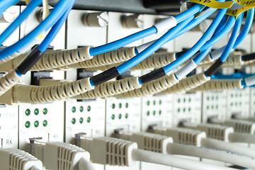 Image showing network cables