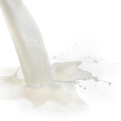 Image showing milk splash