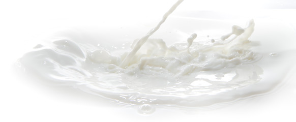 Image showing milk splash