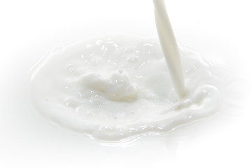 Image showing milk splash