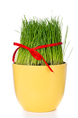 Image showing easter grass