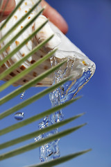 Image showing Tropical Fresh Water