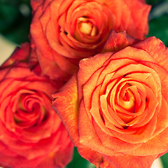 Image showing rose bouquet