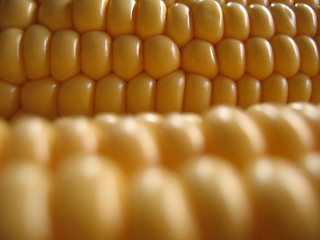 Image showing corn