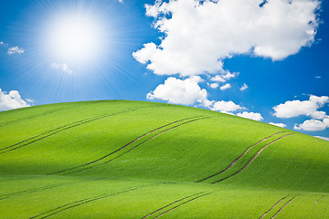 Image showing green field