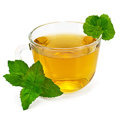 Image showing Herbal tea in glass cup with mint