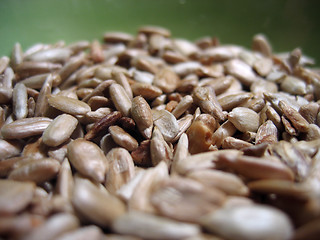 Image showing Peeled sunflower seeds