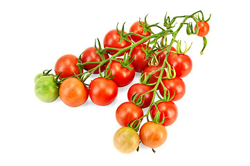 Image showing Tomatoes on a branch
