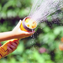 Image showing Watering Flowers