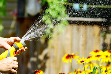 Image showing Watering Flowers