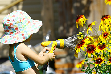 Image showing Watering Flowers