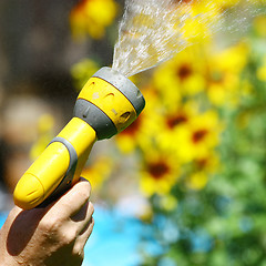 Image showing Watering Flowers