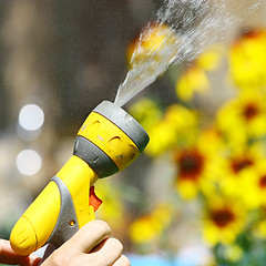 Image showing Watering Flowers