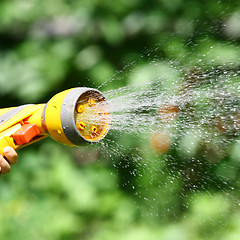 Image showing Watering Flowers