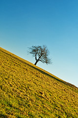 Image showing Natur stürzt ab